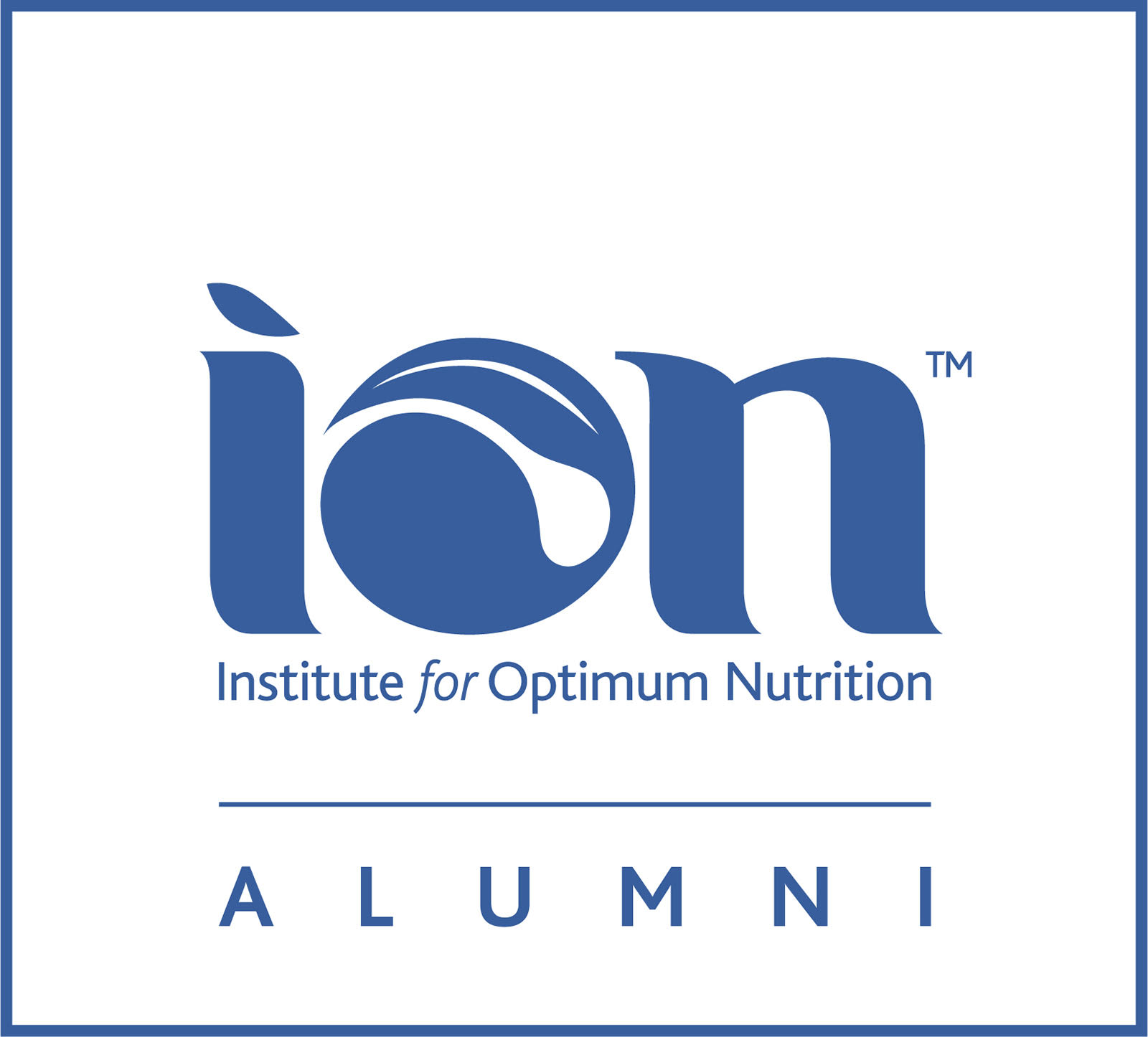 ion badge 2