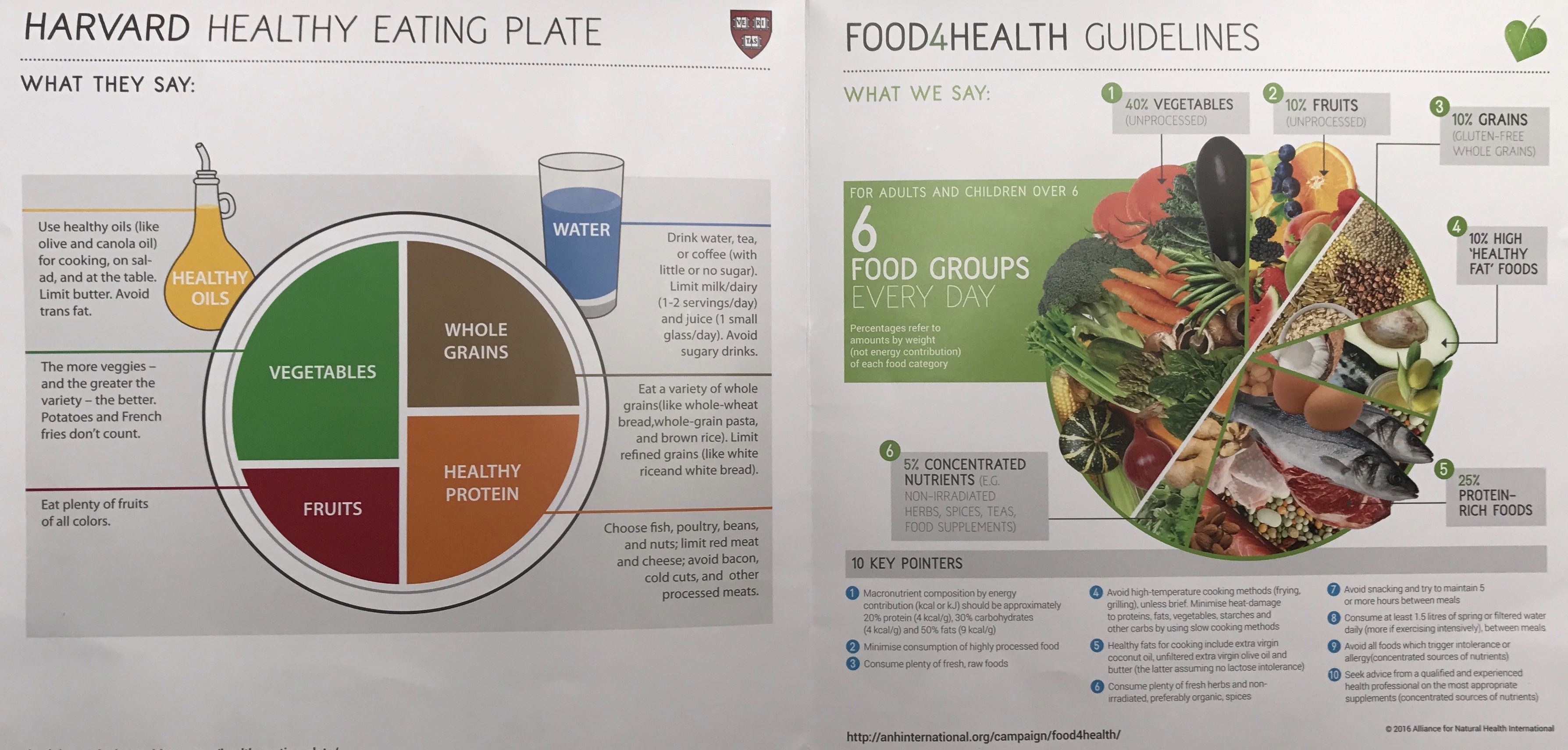 Healthy Plate Guidelines