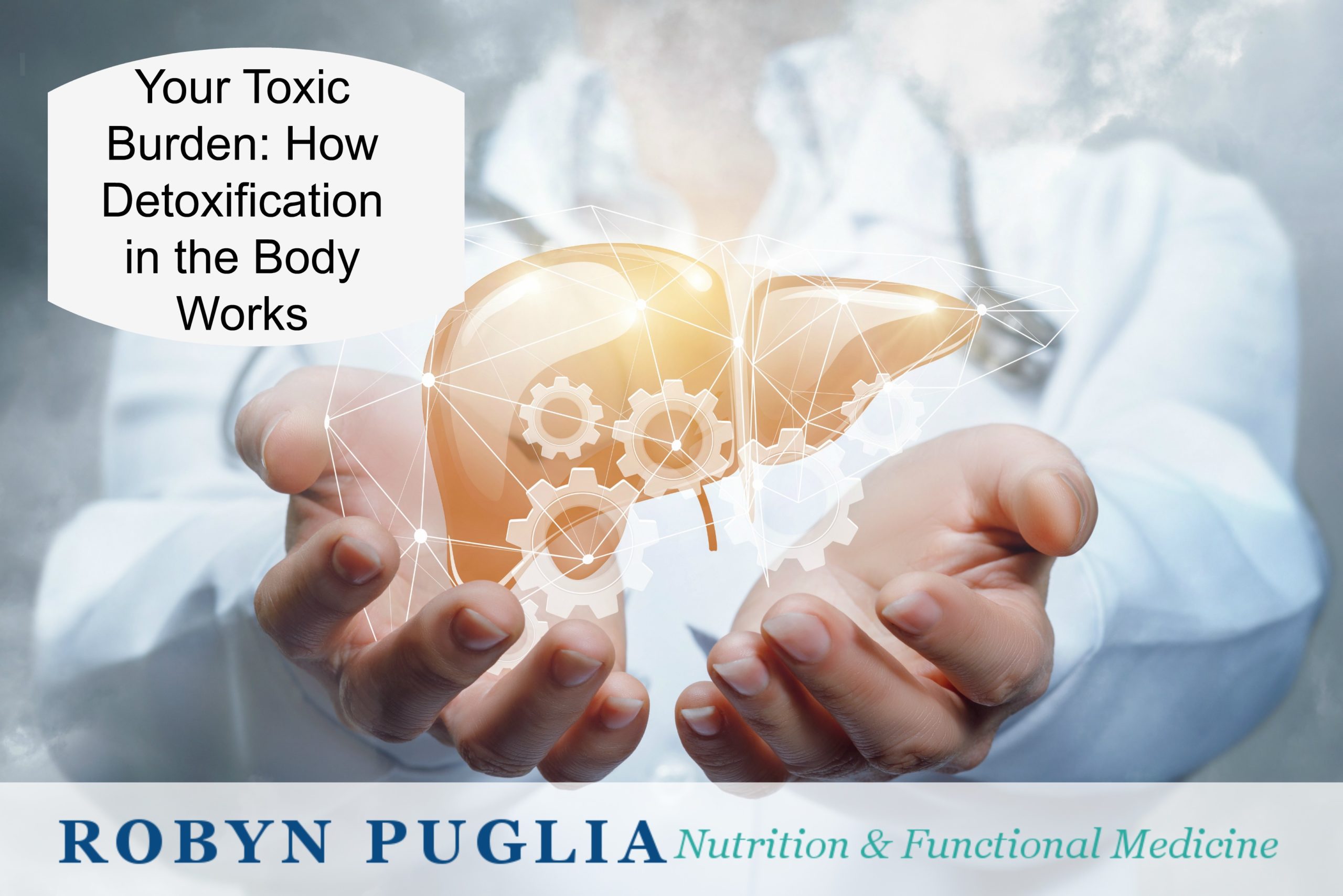 Your Toxic Burden: How Detoxification in the Body Works